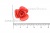 Украшение "Розы малые №1" 20мм - купить в Великом Новгороде. Цена: 32.49 руб.