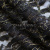 Кружевное полотно XD LACE 1-4, 80 гр/м2, шир.150см, цвет чёрный - купить в Великом Новгороде. Цена 245.94 руб.