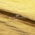 Текстильный материал "Диско"#1805 с покрытием РЕТ, 40гр/м2, 100% полиэстер, цв.5-золото - купить в Великом Новгороде. Цена 416.57 руб.
