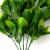 Трава искусственная -1, шт (эвкалипт лист 32 см/8 см)				 - купить в Великом Новгороде. Цена: 169.93 руб.