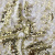 Трикотажное полотно, Сетка с пайетками, шир.130 см, #315, цв.-белый/золото - купить в Великом Новгороде. Цена 693.39 руб.
