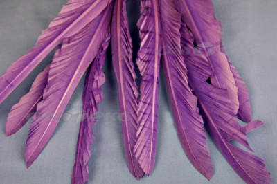 Декоративный Пучок из перьев, перо 25см/фиолетовый - купить в Великом Новгороде. Цена: 12.19 руб.