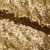 Сетка с пайетками №3, 188 гр/м2, шир.140см, цвет золотой - купить в Великом Новгороде. Цена 454.12 руб.