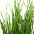 Трава искусственная -4, шт  (осока 50 см/8 см  7 листов)				 - купить в Великом Новгороде. Цена: 130.73 руб.